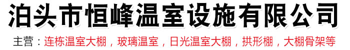 河北溫室大棚,河北溫室大棚骨架,河北連棟溫室大棚,河北玻璃溫室-11泊頭市恒峰溫室設(shè)施有限公司